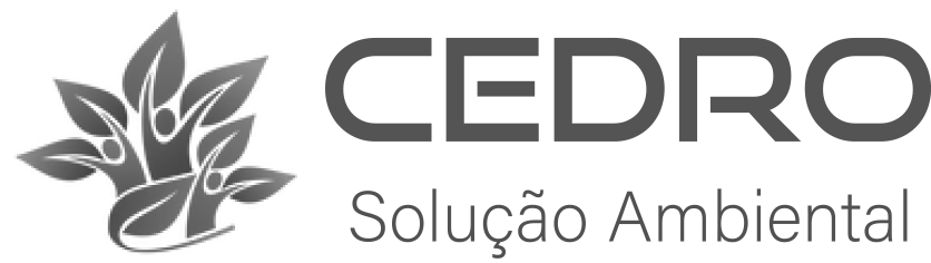 agência de google ads